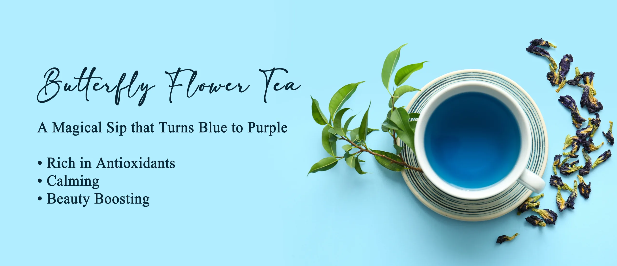 Butterfly tea Banner